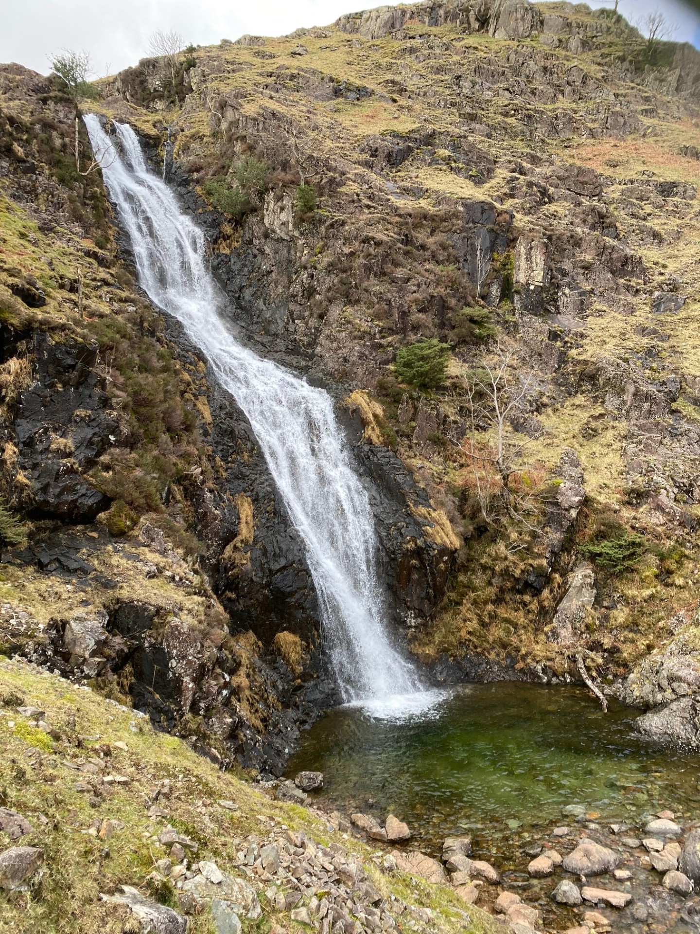 Whorneyside Force